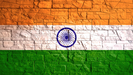 Republic of india flag with gray stone wall tiles vector