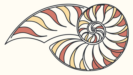 nautilus shell pattern spiral geometric motif vector image