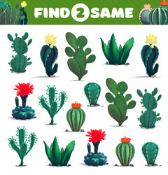 find two same cacti succulents kids game worksheet Vector Image
