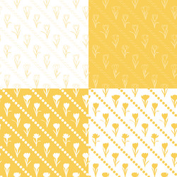 set of seamless patterns with yellow crocus flower vector image