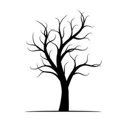Naked Vector Images (over 16,000)