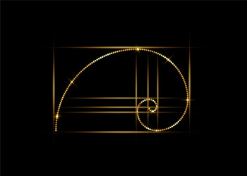 Golden ratio fibonacci number colorful section Vector Image