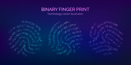 Set binary code fingerprint digital key vector