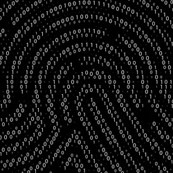 Digital Fingerprint Security Code vector image