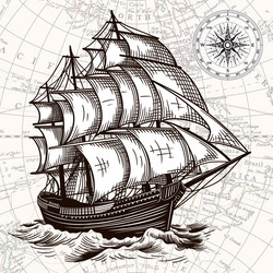 lotus flower on beige background Vector Image