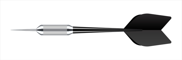 dart arrow with metal tip and shadow vector image