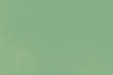 Green grunge background vector