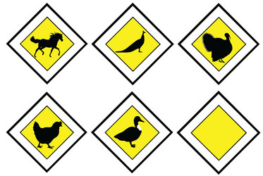 Road Arrow Signs Collection Royalty Free Vector Image