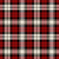 Download A Black And White Plaid Background  Wallpaperscom