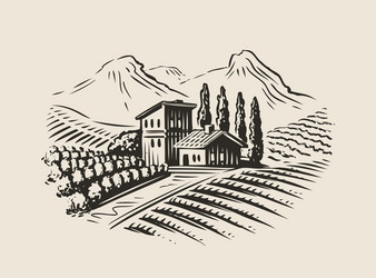 Vineyard Landscape with Villa Vector Image