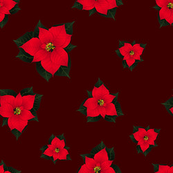 Red Poinsettia on Red Background Vector Image