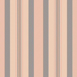 creation textile fabric pattern structure stripe vector image
