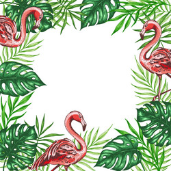 tropical background with pink flamingo Vector Image