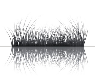 grass silhouettes background vector