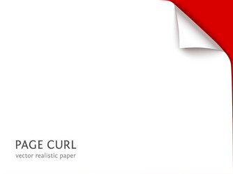 Paper Sheet with Curl vector image