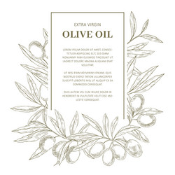 Olive tree extra virgin oil symbol Royalty Free Vector Image