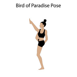 Bird Pose Yoga Vector Images (over 190)