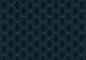 abstract geometric pattern with lines on dark vector image