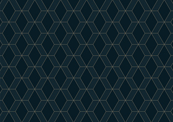 Abstract geometric pattern with lines on dark vector