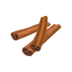 Realistic cinnamon sticks set Royalty Free Vector Image
