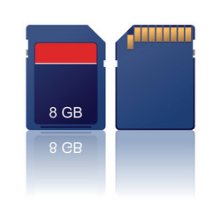 Memory card vector