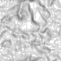 seamless pattern topographic map background vector image