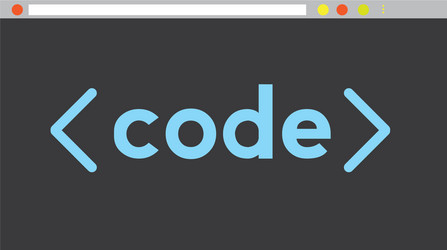 programming code on a browser window vector image