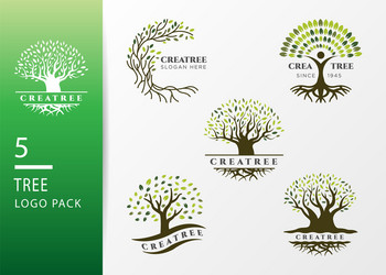 green tree and roots logo design isolated on grey vector