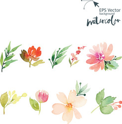 Watercolor Floral Celebration Vector Image