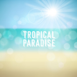Summer tropical beach background Royalty Free Vector Image