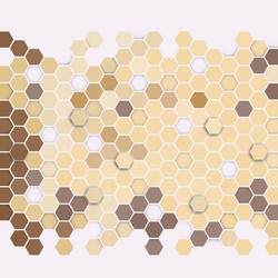 geometric background abstract hexagonal pattern vector image