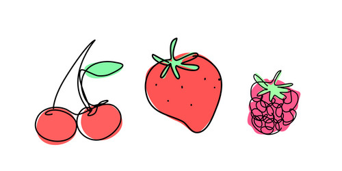 cherry strawberry raspberry in continuous line vector image