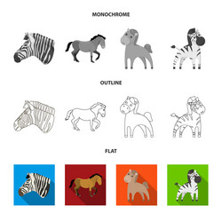 design trot and running symbol set vector image