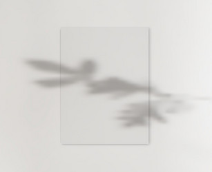 drop shadow overlay effect on blank sheets vector image