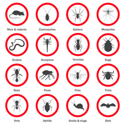 pest and insect control icons set vector image