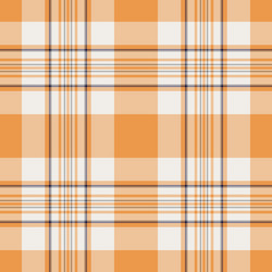 texture check of background textile pattern vector image