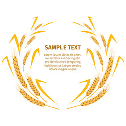 wheat ears around your text sample on white vector image