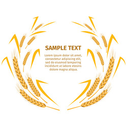 wheat ears around your text sample on white vector