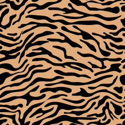 seamless zebra pattern vector image