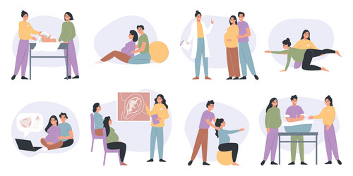 pregnant courses set Vector Image