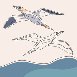seagull bird flying in continuous line art style vector image