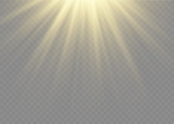 Sunlight isolated sun light effect golden Vector Image