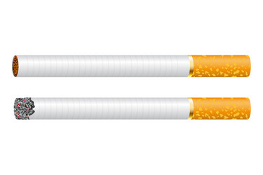 cigarette smoldering isolated vector