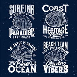 Ocean Shells Apparel Print Vector Image