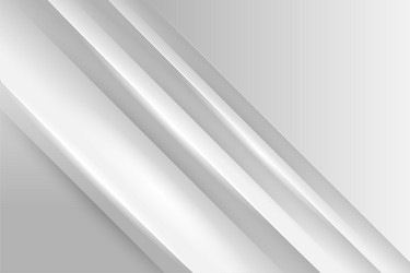 abstract elegant white and grey background vector image