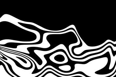 black and white line pattern abstract background vector image