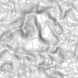seamless pattern topographic map background vector image