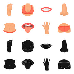 isolated object body and part icon set vector image