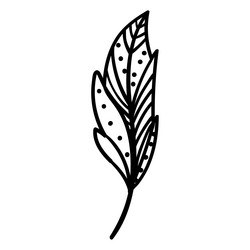 Stroke boho style feather Royalty Free Vector Image