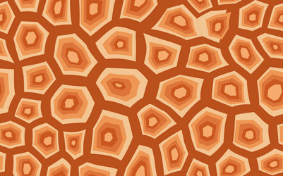 abstract modern turtle shell seamless pattern vector image
